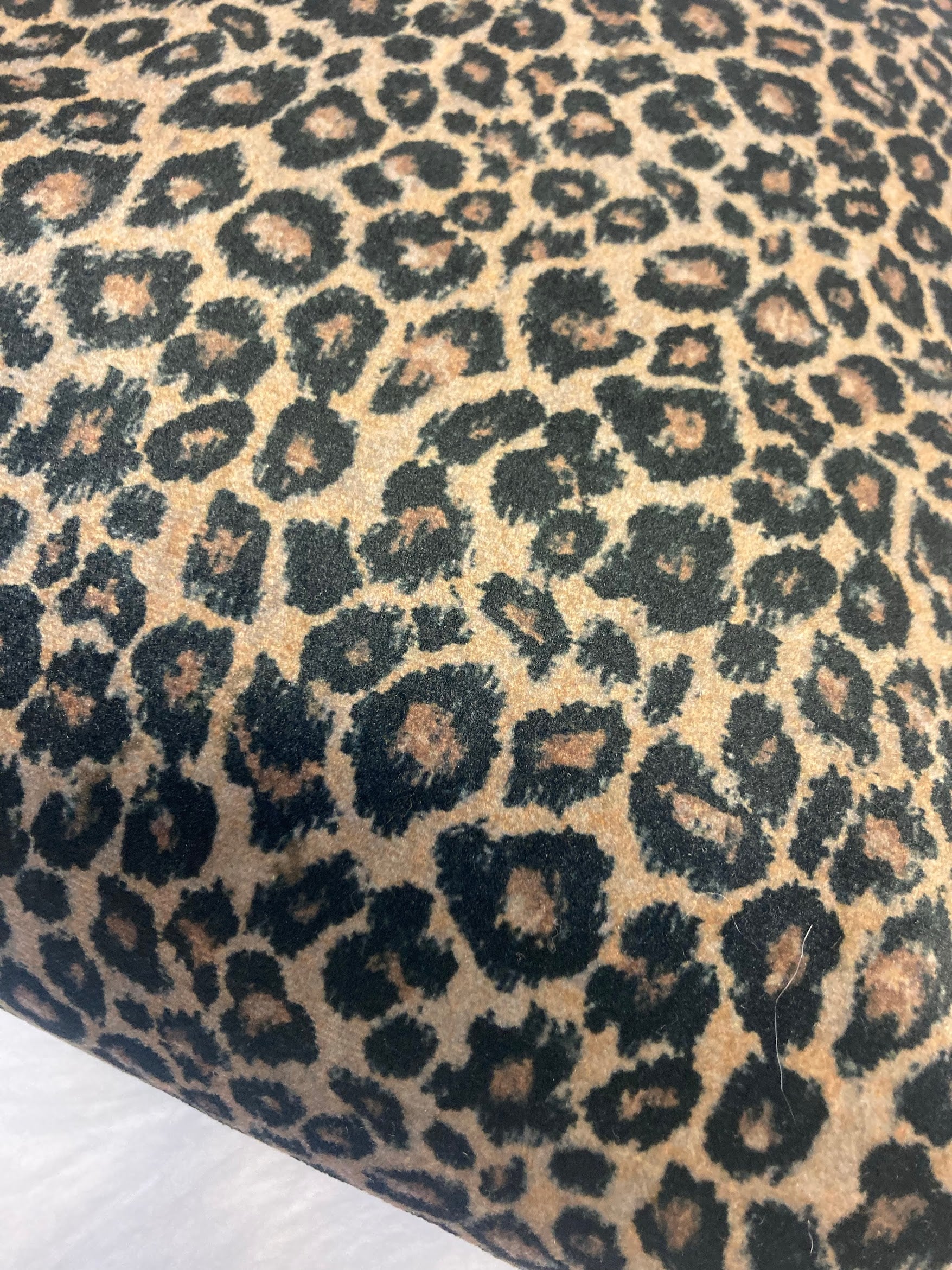 Harlequin designer velvet in leopard print 40x 40 cm cushion cover